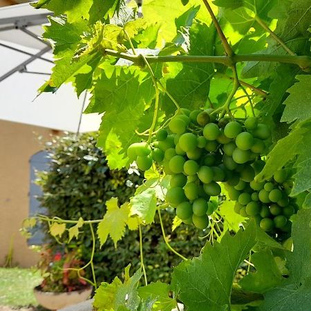 Hotel Des Vignes Juliénas Dış mekan fotoğraf