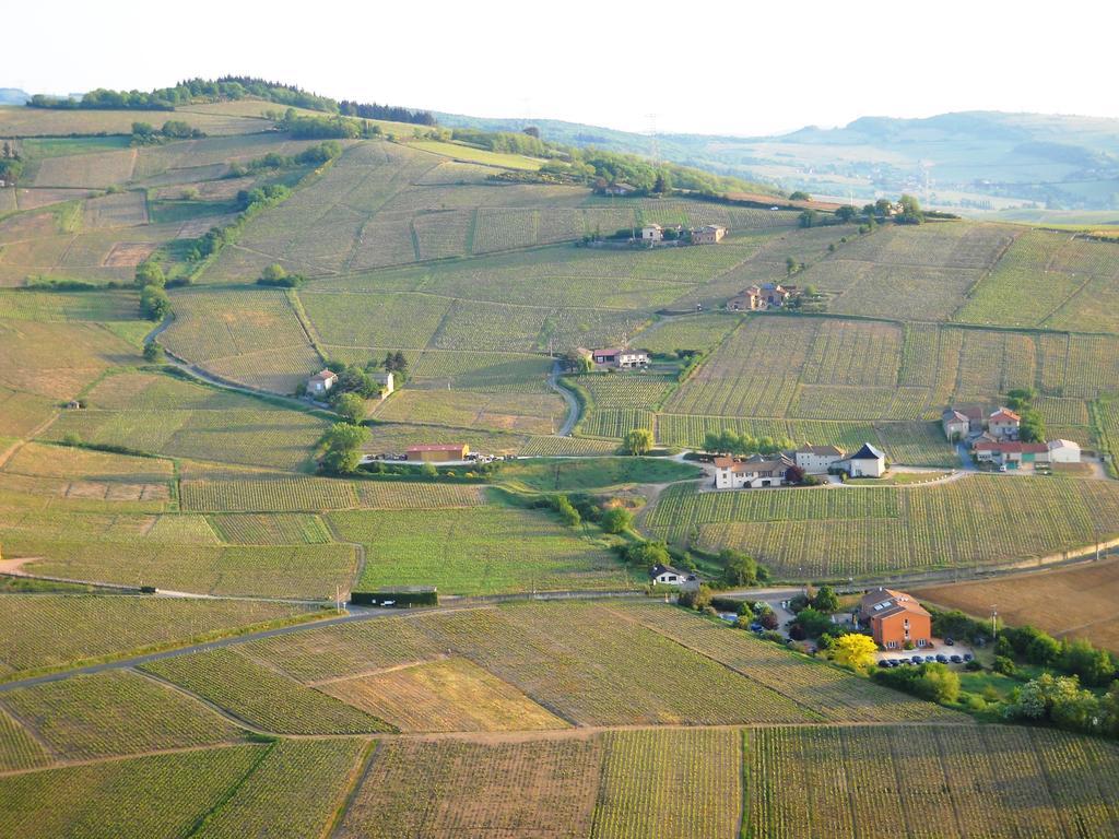 Hotel Des Vignes Juliénas Dış mekan fotoğraf