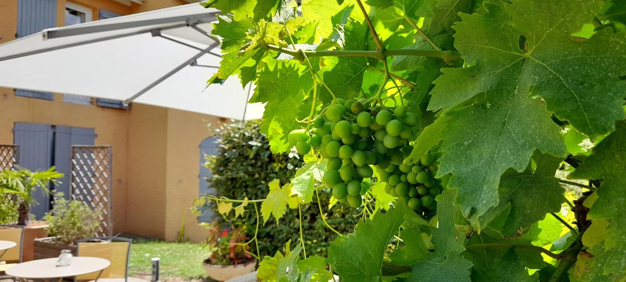 Hotel Des Vignes Juliénas Dış mekan fotoğraf