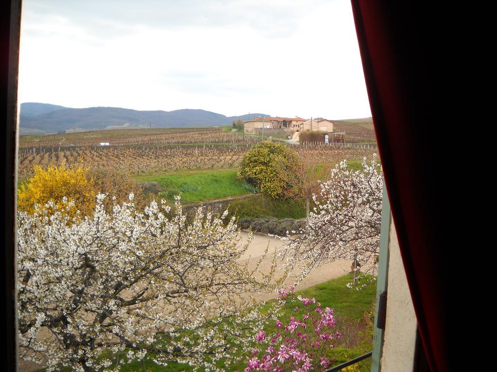 Hotel Des Vignes Juliénas Dış mekan fotoğraf